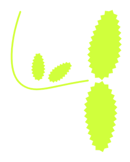 Leafit